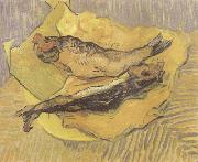 Vincent Van Gogh, Crab on Its Back (nn04)
